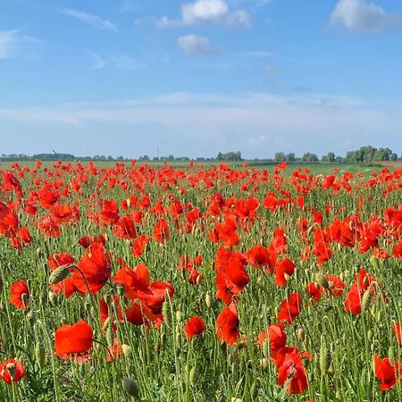 Ferienwohnungen Klein Kapelle Gingst المظهر الخارجي الصورة